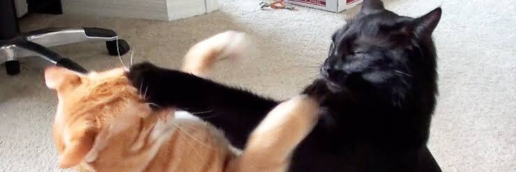 chikepuuuuwwwww banner