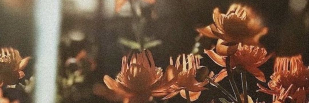 Candela de Mónaco. banner