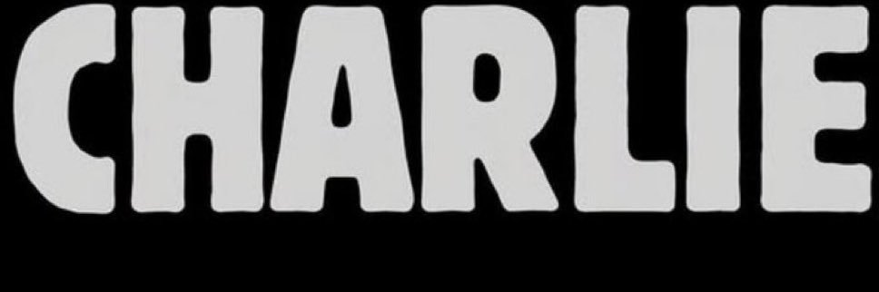 seattleright's profile banner image