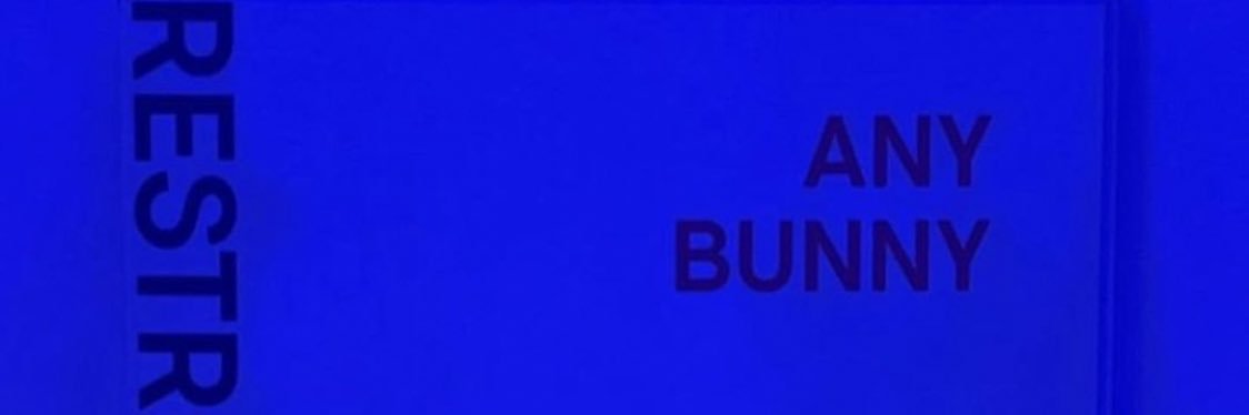 SiaraBunneee's profile banner image