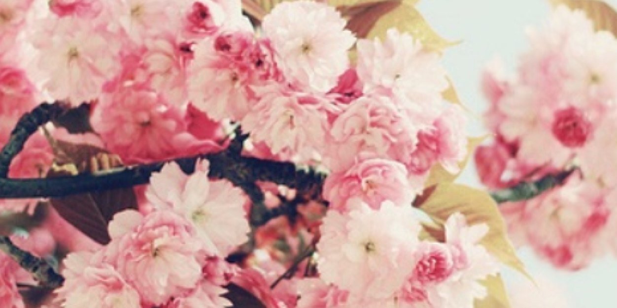 EbruGencc's profile banner image