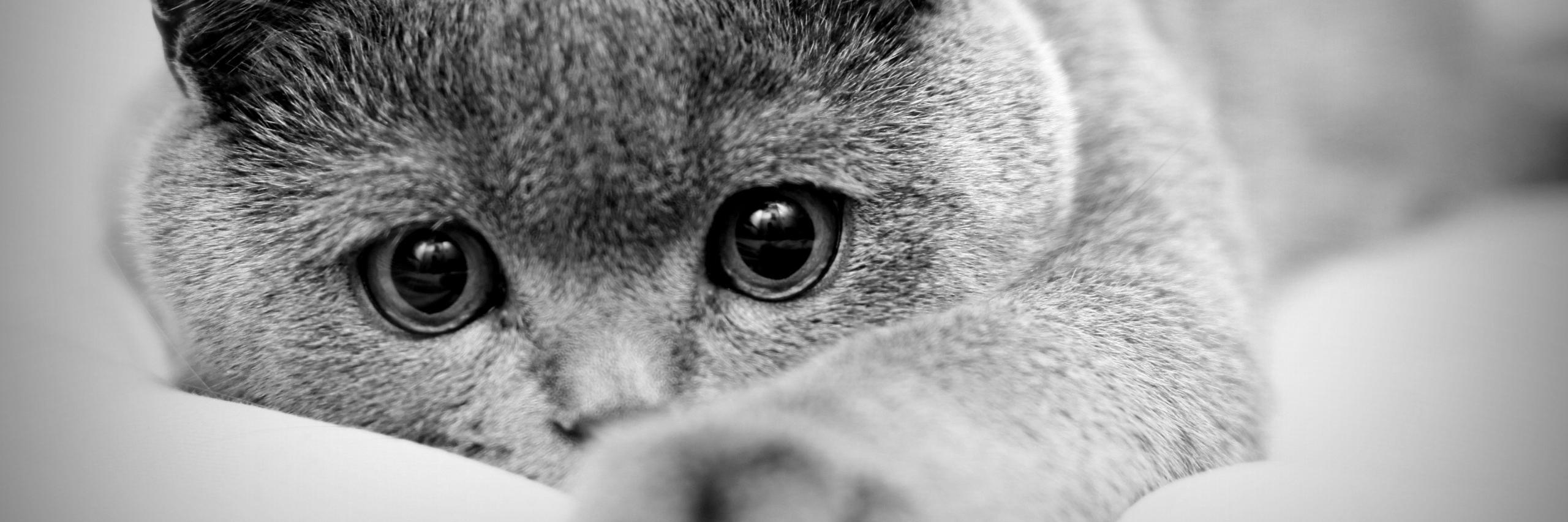 Richie_Do's profile banner image