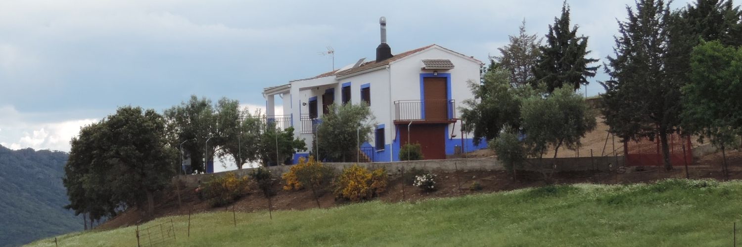 Paco Rodríguez banner