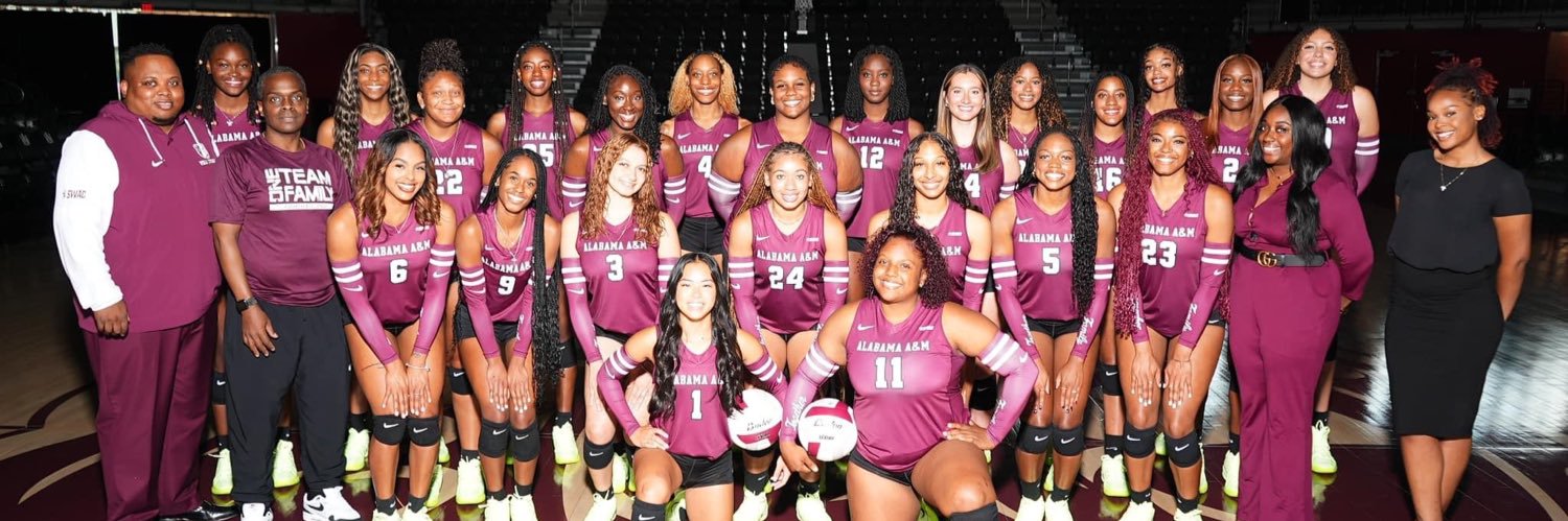AAMUVOLLEYBALL's banner