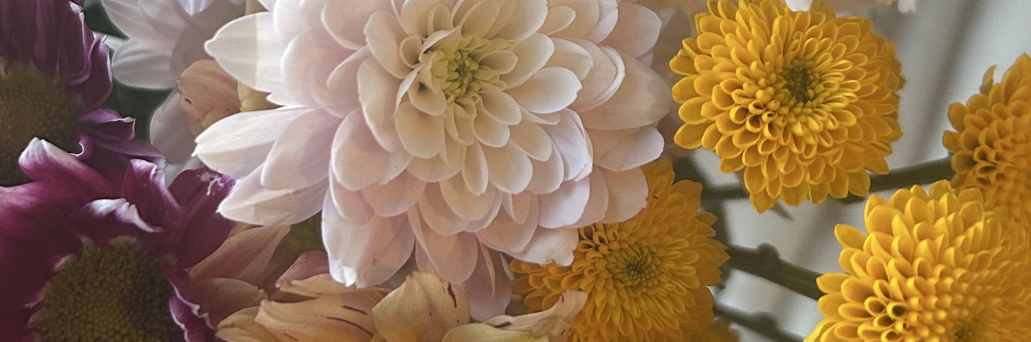 Abbie_Bxo's profile banner image