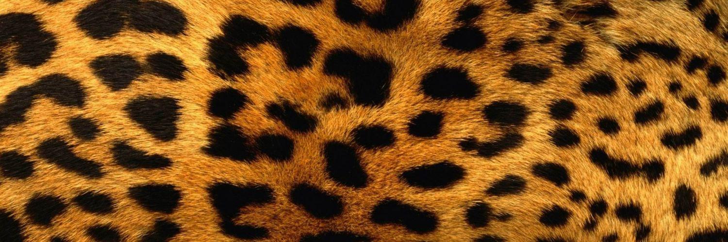 AnnaDoBon's profile banner image