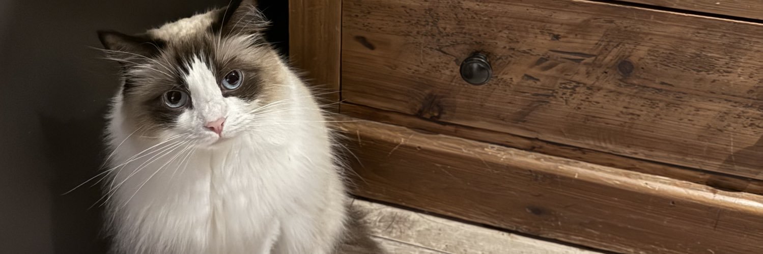 lav_stnyan's profile banner image