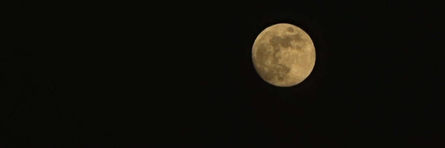 混世大魔王 banner