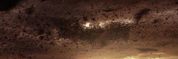 Vespertil1o Profile Banner