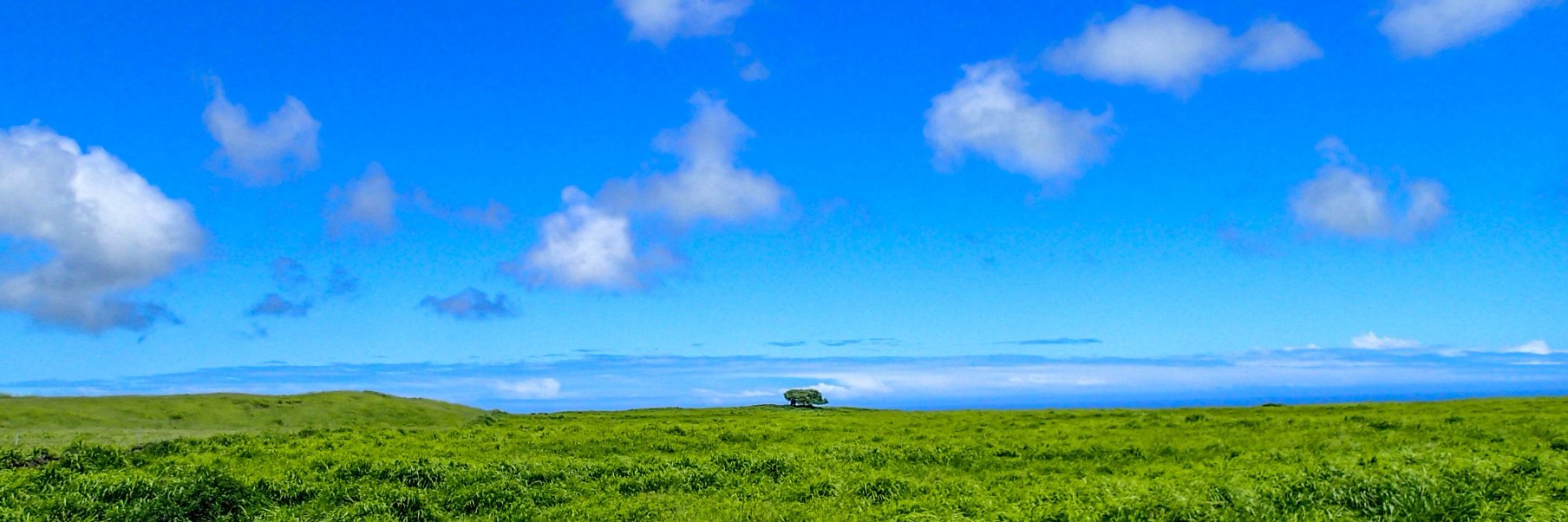 b_d_thompson's profile banner image