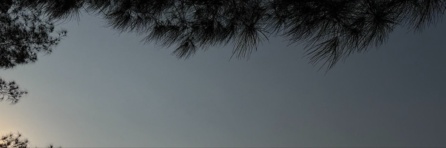 gorgiyea's profile banner image