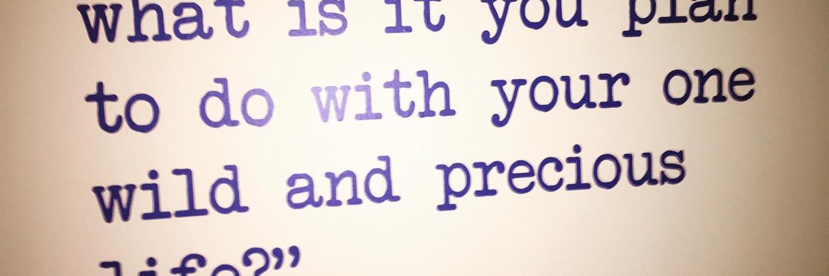 Susan T Schuster banner