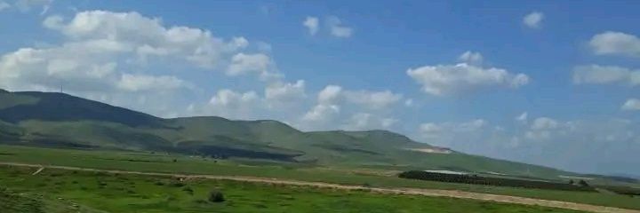 Mohammad Tomazy banner