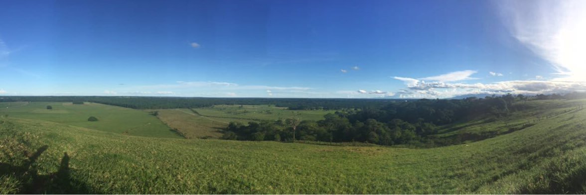 Diego Fajardo R banner