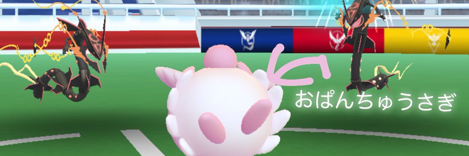 Serena banner