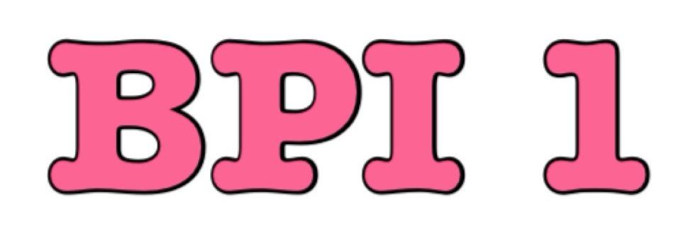 BPIModels's profile banner image