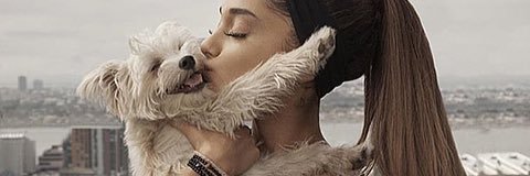 yychachamero's profile banner image