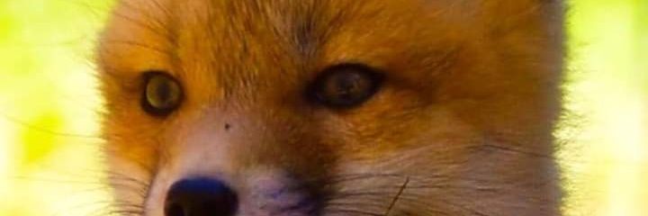 ajron82's profile banner image
