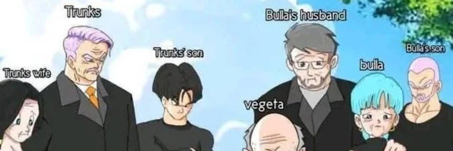 Sam You Well 🇮🇪 banner