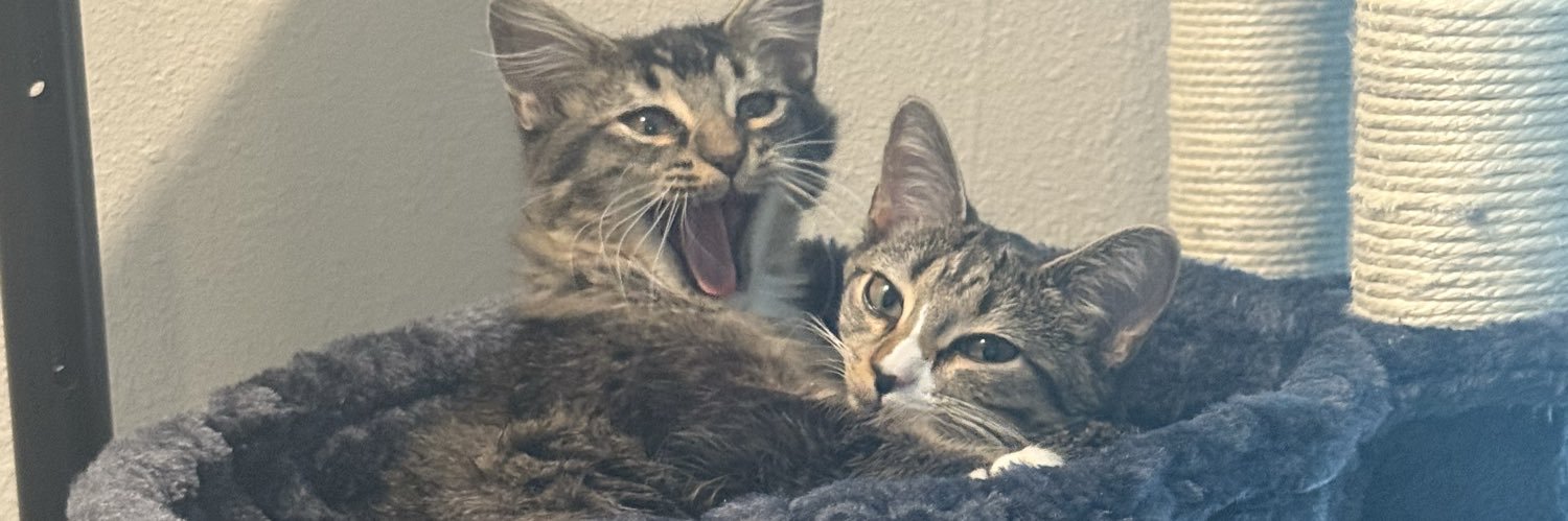 Prayers needed banner