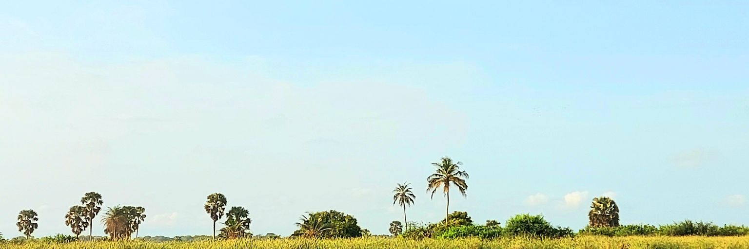 _BnhJ's profile banner image