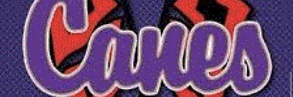 therealBcagle Profile Banner