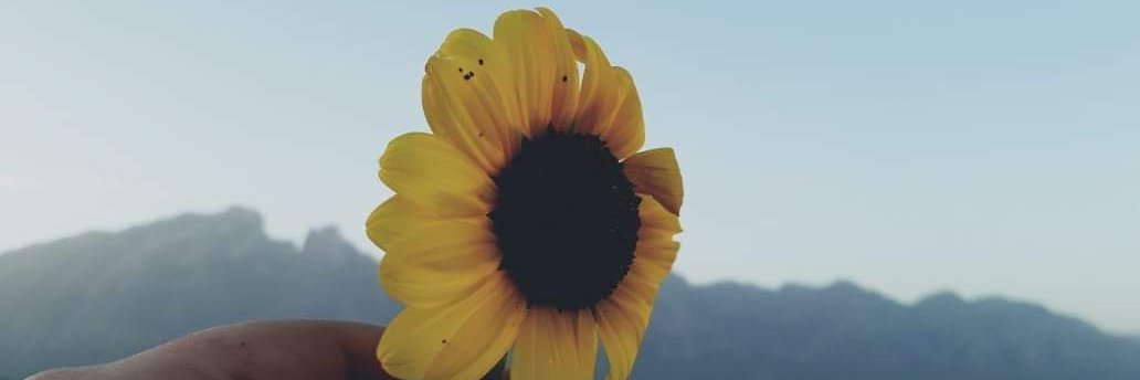 iSoyIsa_'s profile banner image