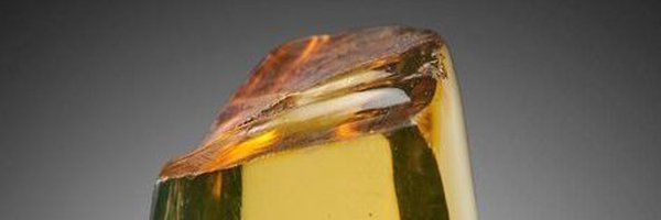 ZigiStarks Profile Banner