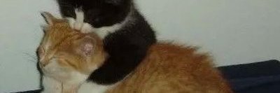 AHUMmmm's profile banner image