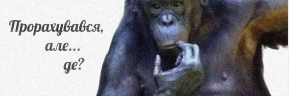Бородач's banner