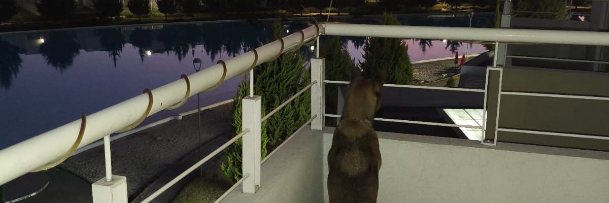 Ally_Perkins's profile banner image