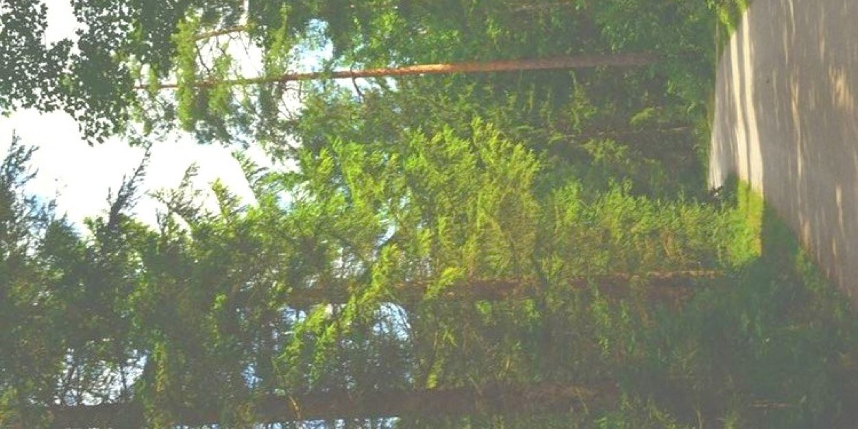 lusthappiness's profile banner image