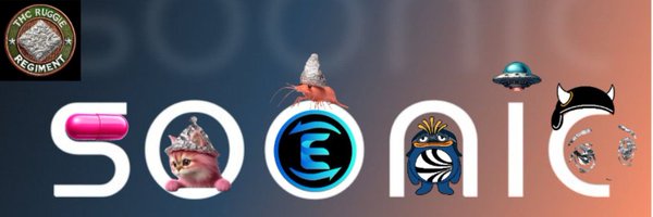 HowtoBear79 Profile Banner