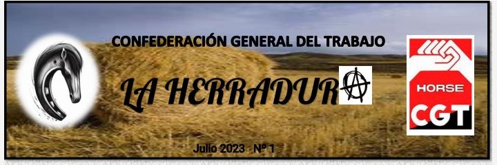 CGT Horse Valladolid banner