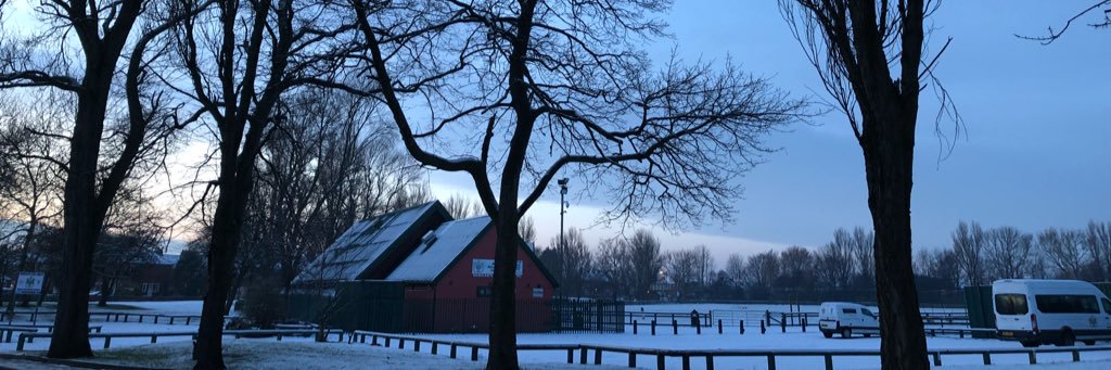 David Dingle Pearson banner