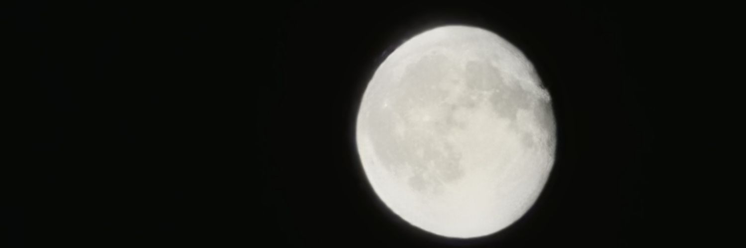 adam banner