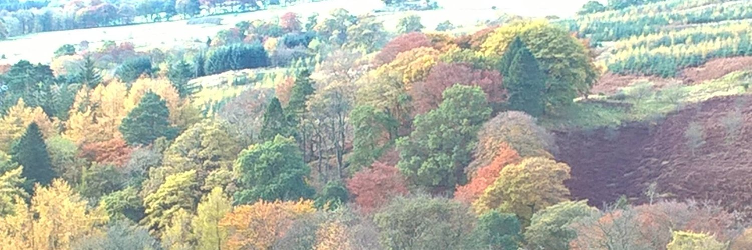Alison Irvine banner