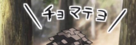 Sera banner