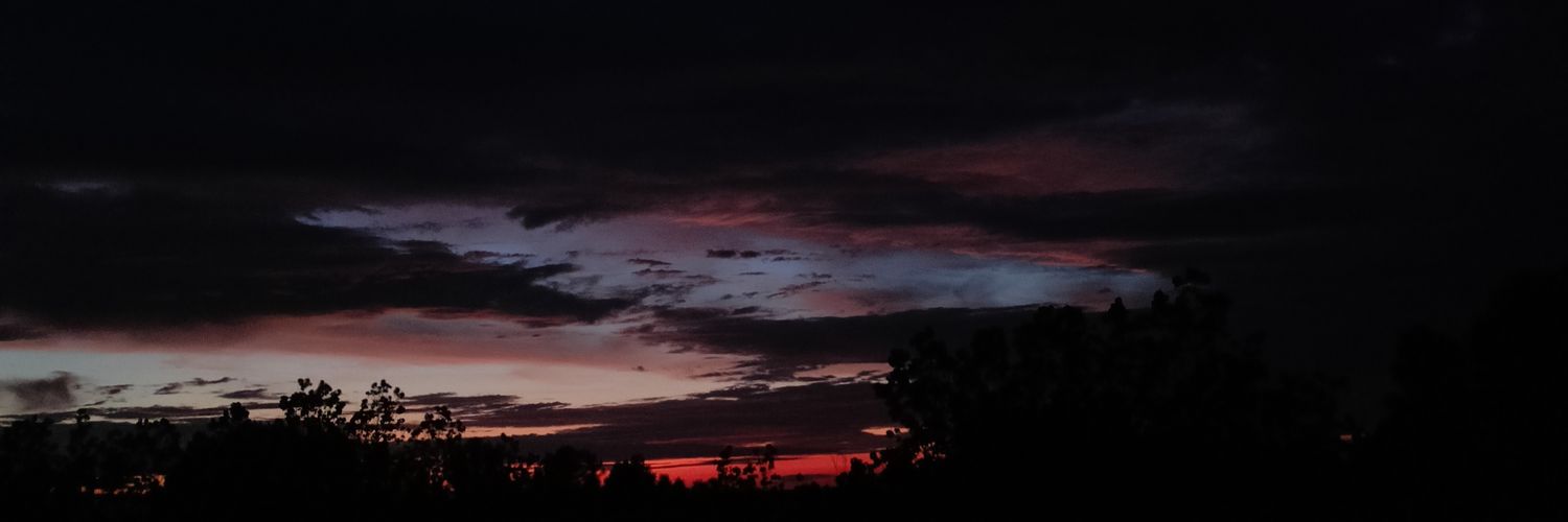 Dulce Fernández banner