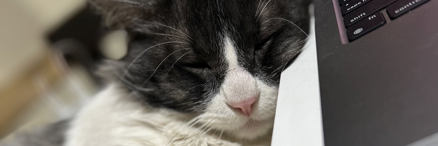 katyyferrero's profile banner image