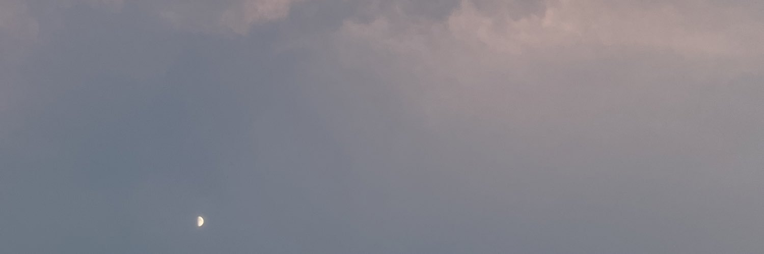 dan banner