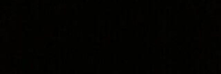 Pankotann 🇹🇷 banner