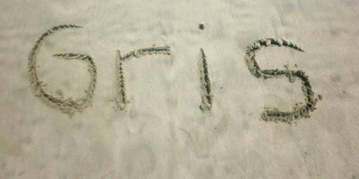 Ingrid Grisel banner