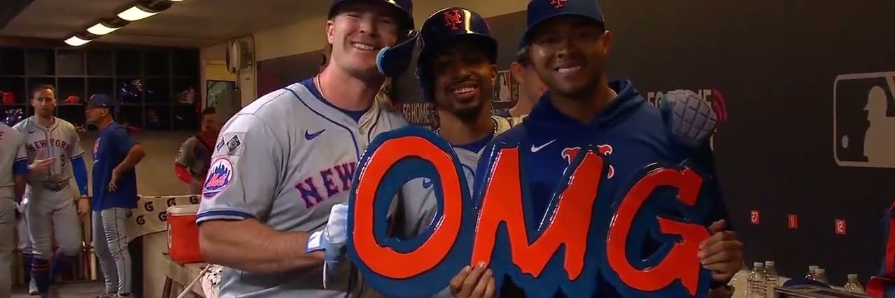 NY Dom banner