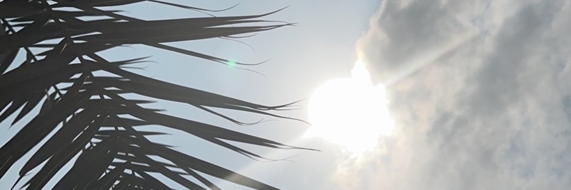 reeiiay's profile banner image