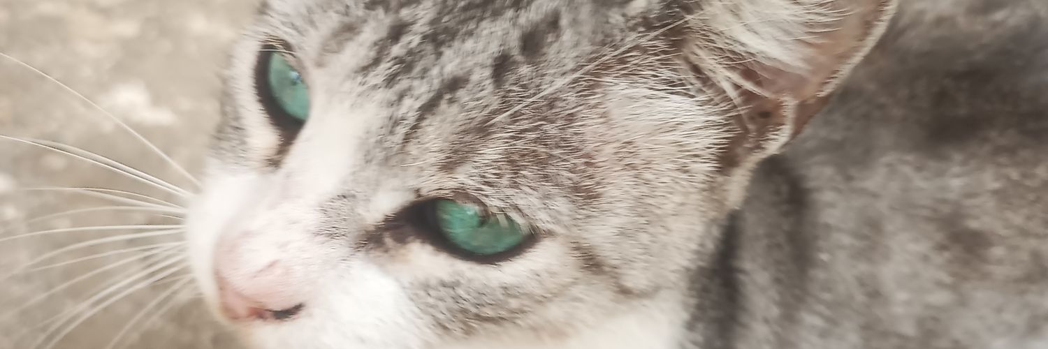 Maxwell0985's profile banner image