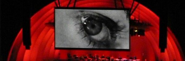 _storkscissors_ Profile Banner