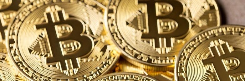 Daring TARAS🇺🇦 banner