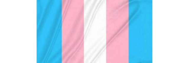 Allegra/Allie 🏳️‍⚧️ banner