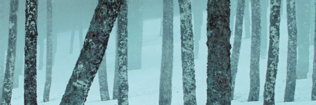 MartLar13's profile banner image